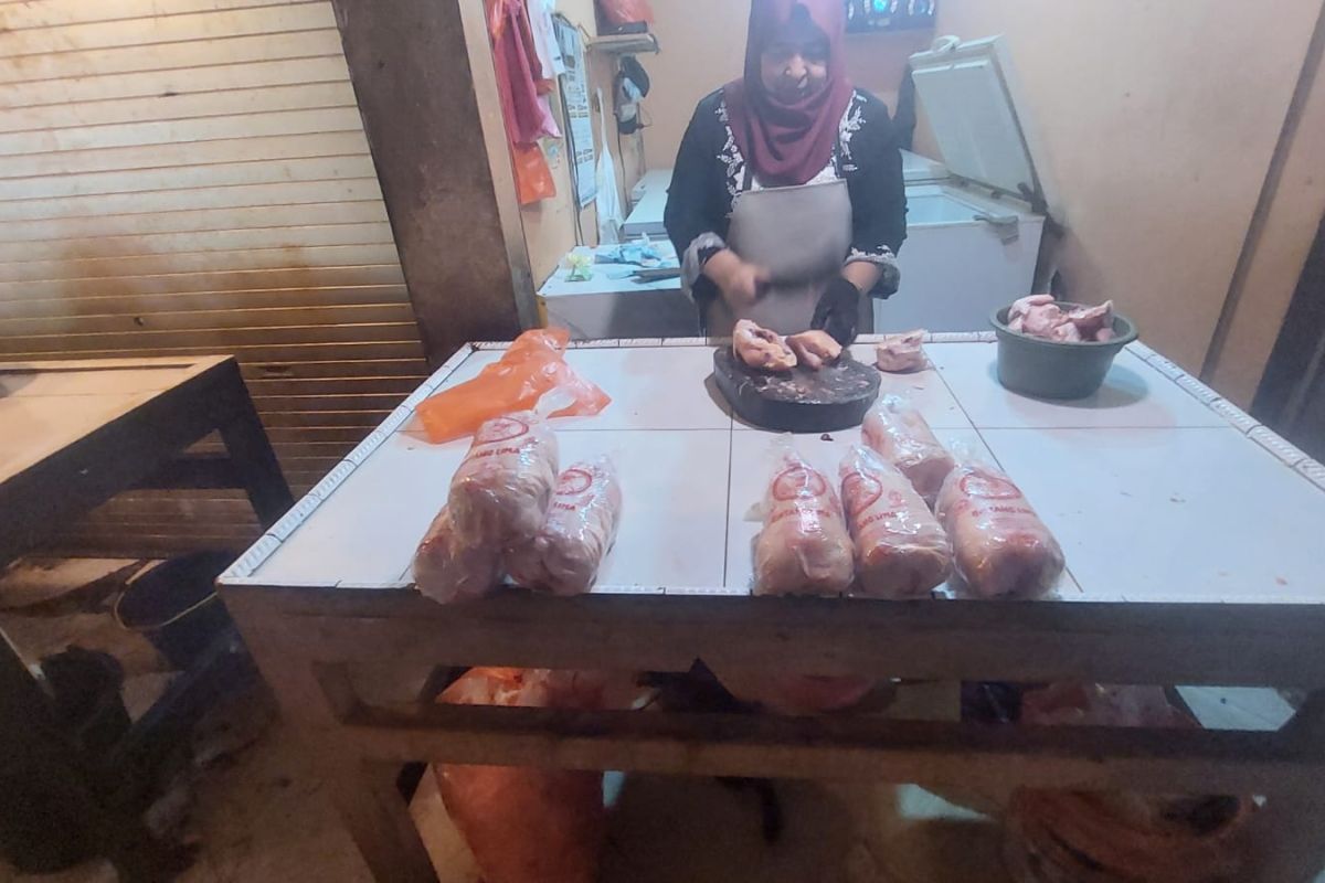 Harga ayam potong di Ternate naik  menjelang Ramadhan