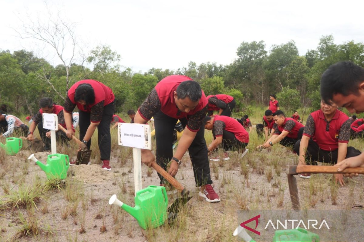 Peduli lingkungan Polres Bangka tanam 200 kayu putih di PPN Sungailiat