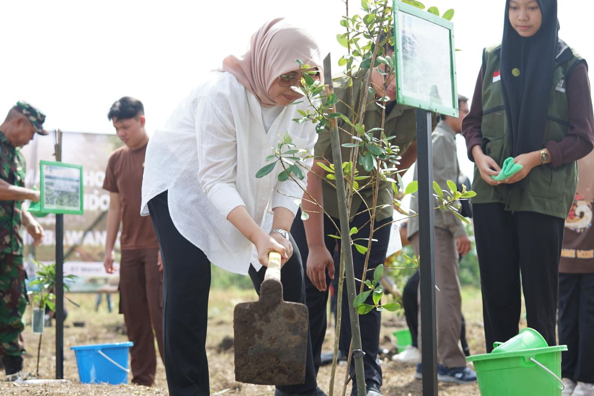 Kementerian LHK pastikan tanam serentak pulihkan lahan kritis