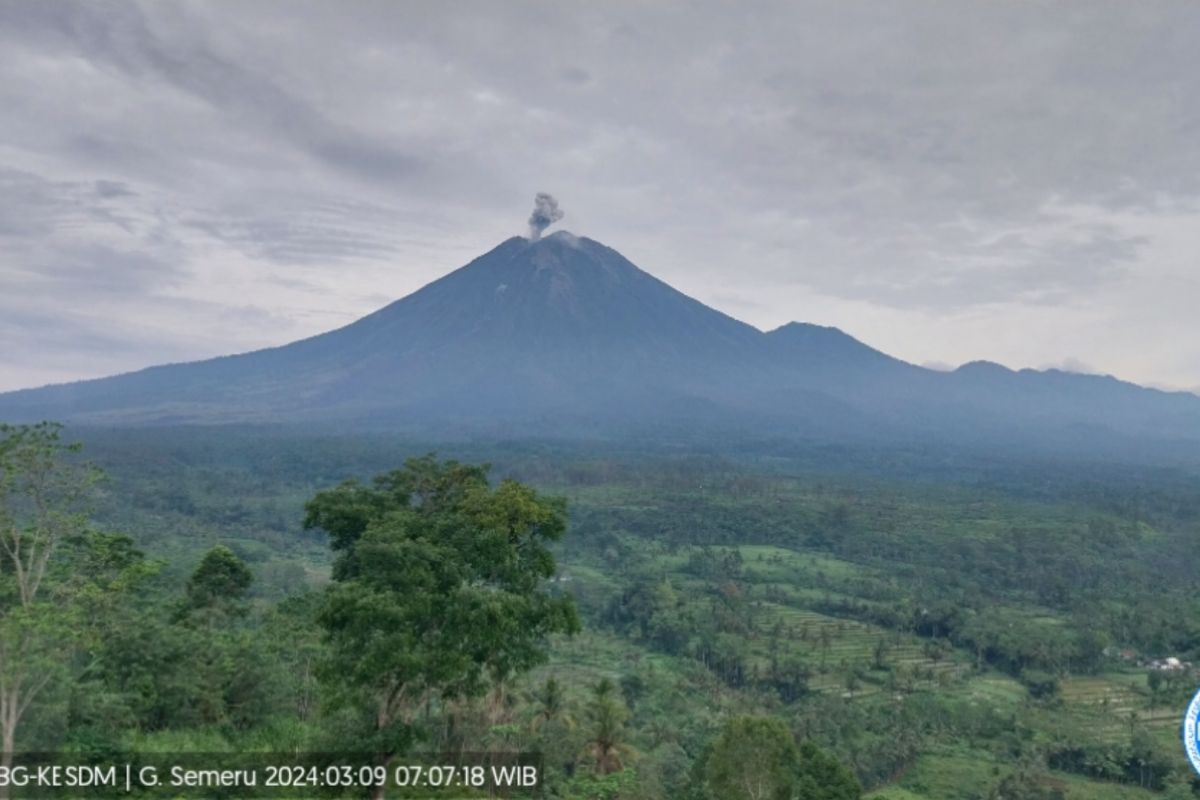 Gunung Semeru erupsi tiga kali dengan letusan hingga 1 km pada Sabtu
