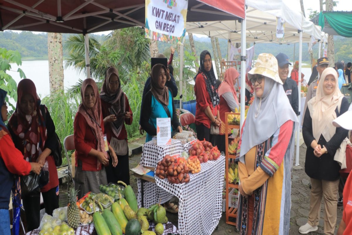 Dinas Pertanian gelar Festival Buah Kulon Progo di kawasan Waduk Sermo