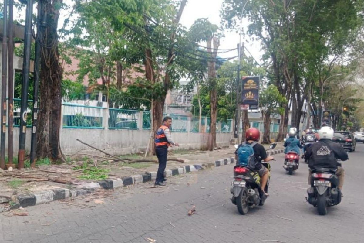 Pengendara motor meninggal usai tertimpa ranting pohon di Surabaya