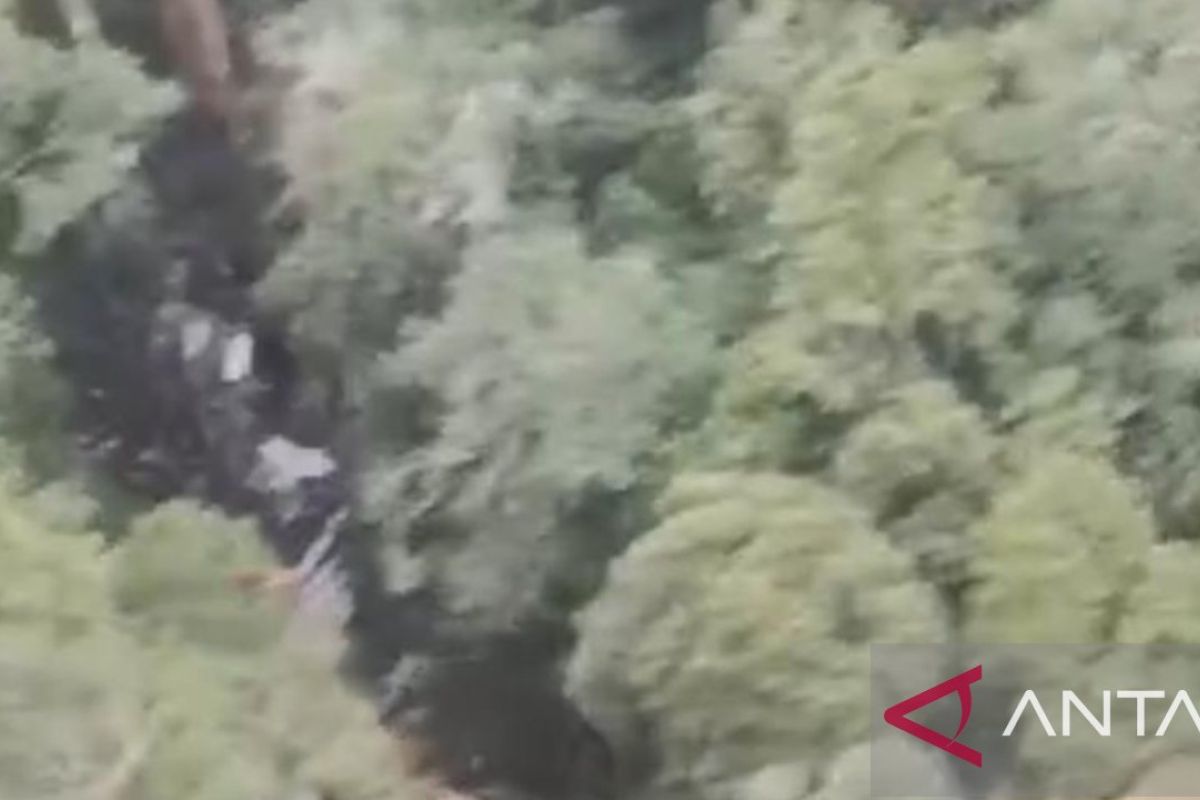 Tim SAR gabungan menemukan puing pesawat yang  jatuh di Binuang