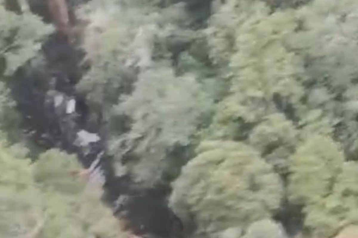 Tim SAR gabungan temukan puing-puing pesawat Smart Aviation jatuh di Binuang