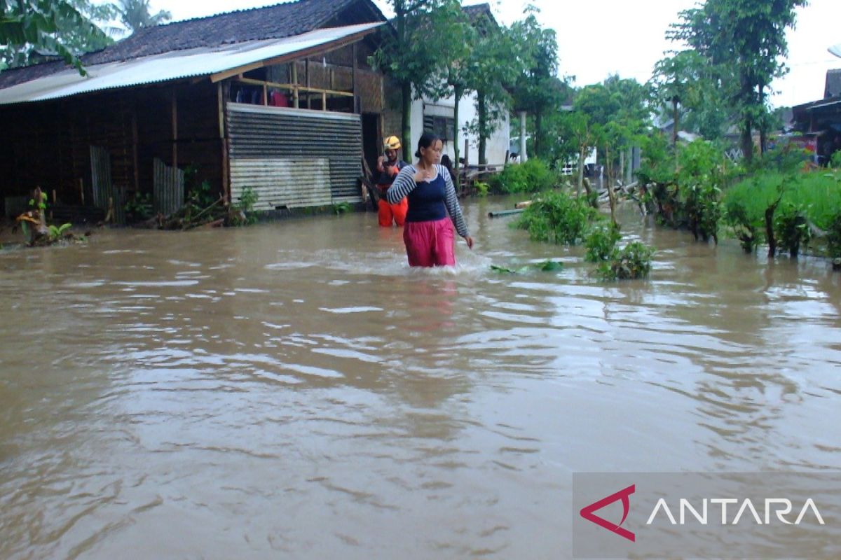 Ratusan rumah di Jember terendam banjir