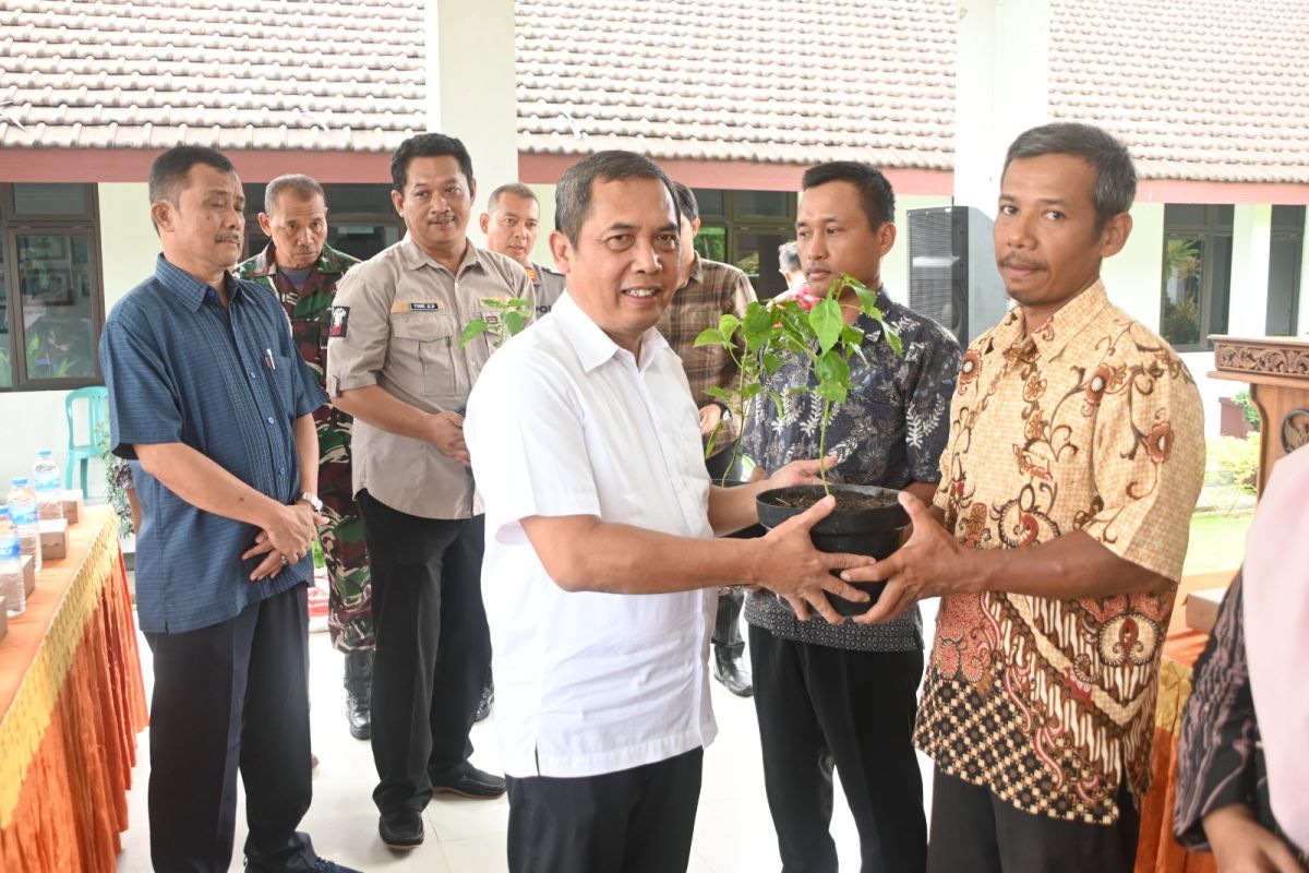 Pemkab Madiun bagikan ribuan bibit cabai ke kelompok tani