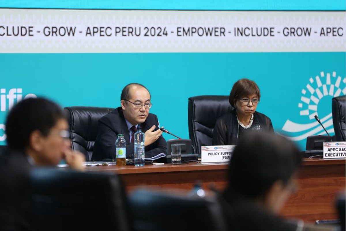 APEC growth outlook brightens, but risks linger