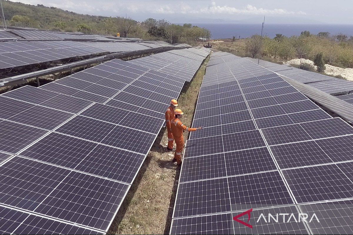 PLN Indonesia Power tambah pembangkit hijau di Nusa Penida Bali