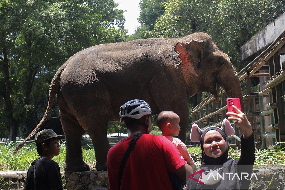 Ragunan siagakan 1.000 petugas saat libur Lebaran