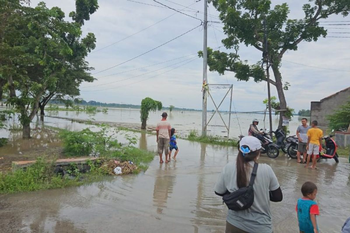 Sejumlah  dukuh di Sragen terendam air akibat luapan Bengawan Solo