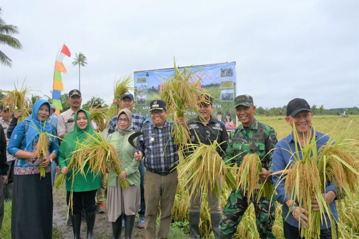 Penjabat Bupati Kapuas puji keberhasilan pertanian Desa Warna Sari