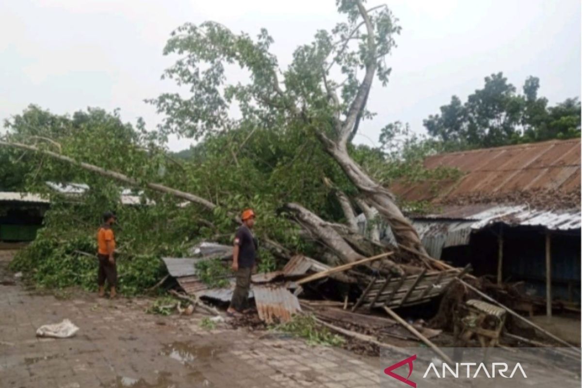 Sebanyak 5 kecamatan di Lombok Barat diterjang angin puting beliung