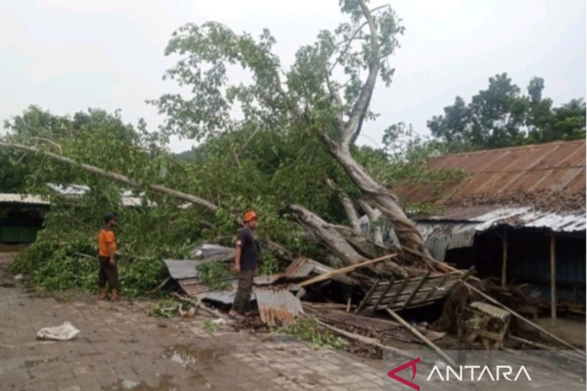 Puting beliung terpa lima kecamatan