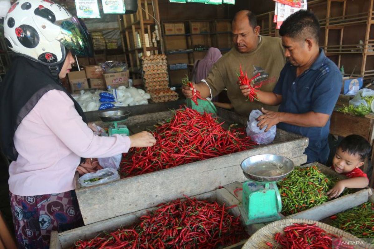 BPS: Cabai merah penyumbang tertinggi inflasi tahunan di Aceh pada Mei