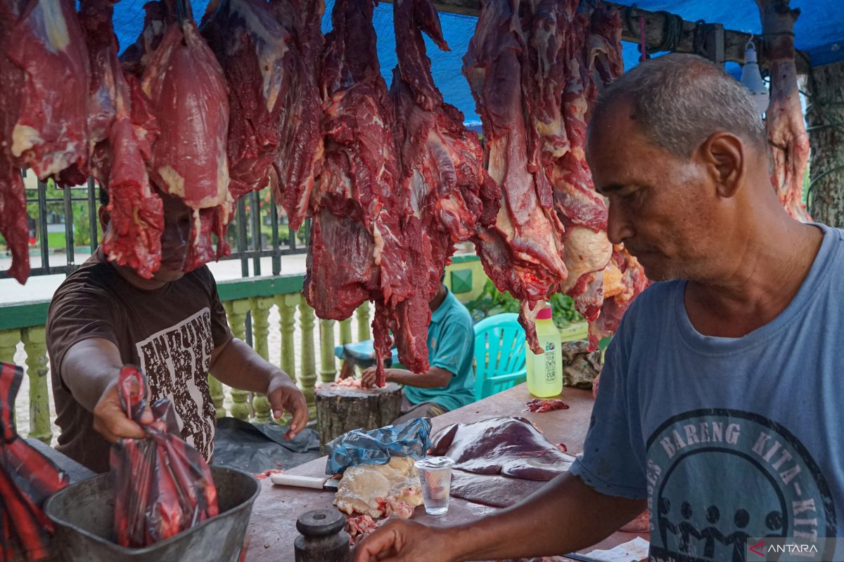 Tradisi meugang, Sabang sembelih 79 ekor ternak