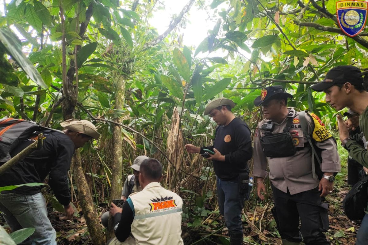 Eight human-wildlife conflicts in West Sumatra in three months: BKSDA