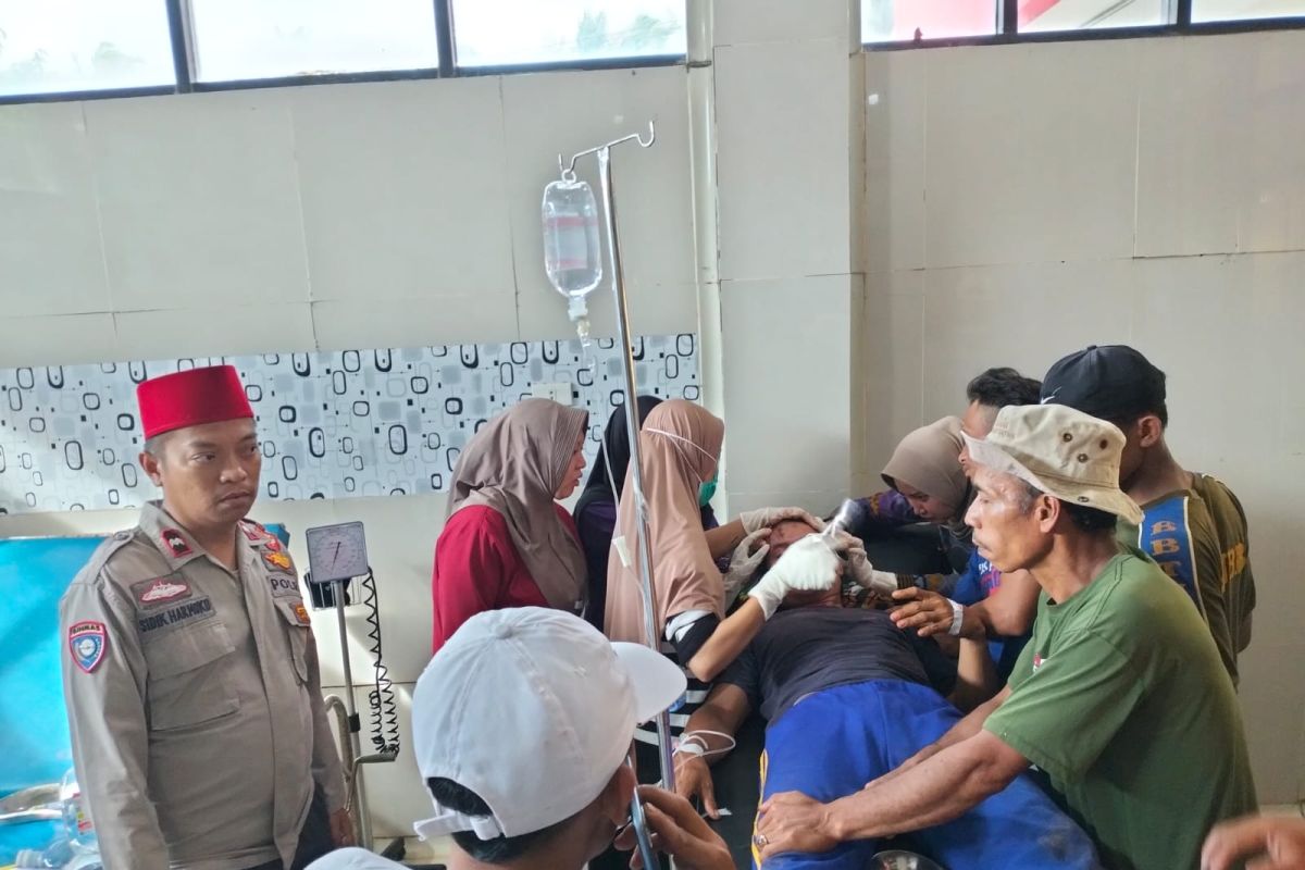 Harimau Sumatera kembali menerkam warga di Lampung Barat