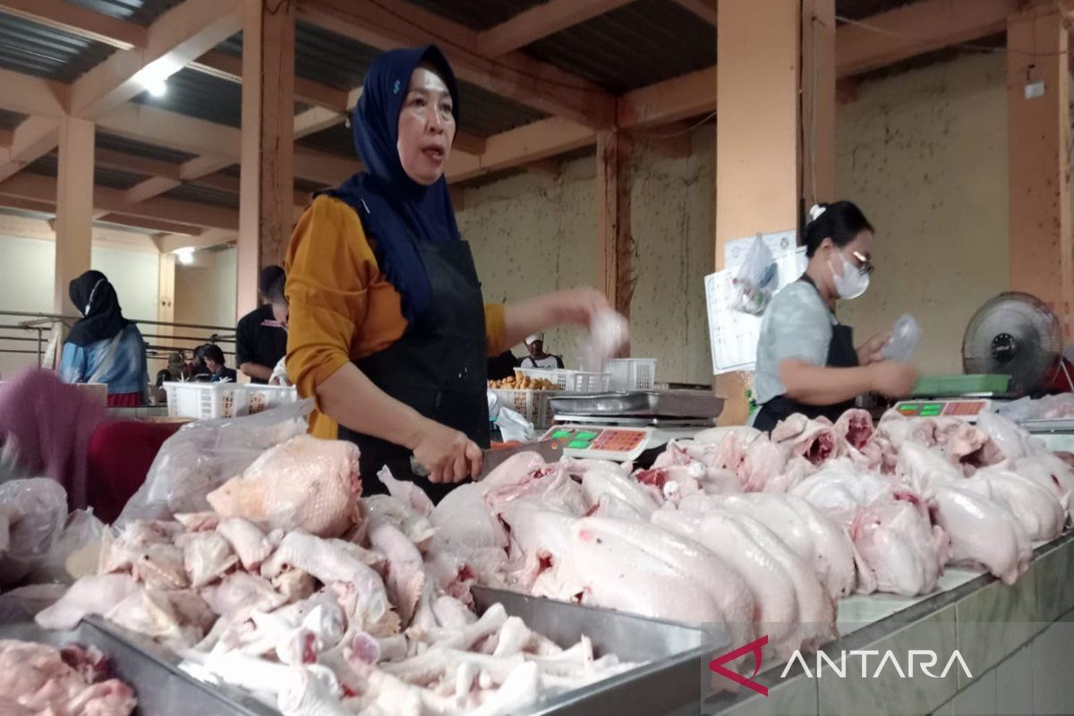 Harga daging ayam di Boyolali capai Rp40.000/kg