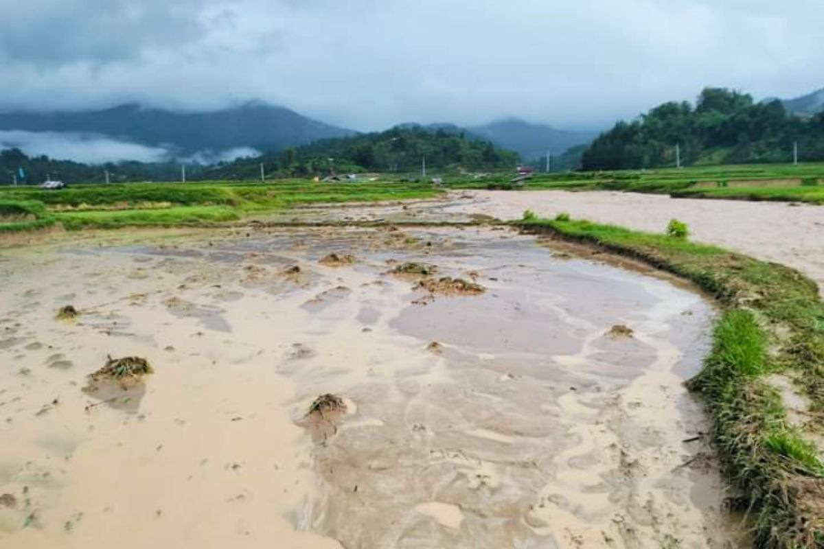 Pemprov Sulbar bantu pemulihan dampak banjir di Nosu Mamasa