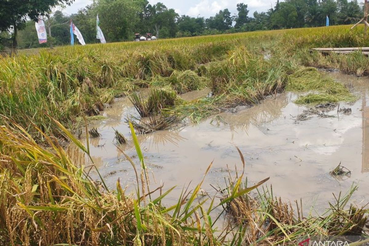Kodam Sriwijaya bangun saluran air untuk optimalkan pemanfaatan lahan rawa
