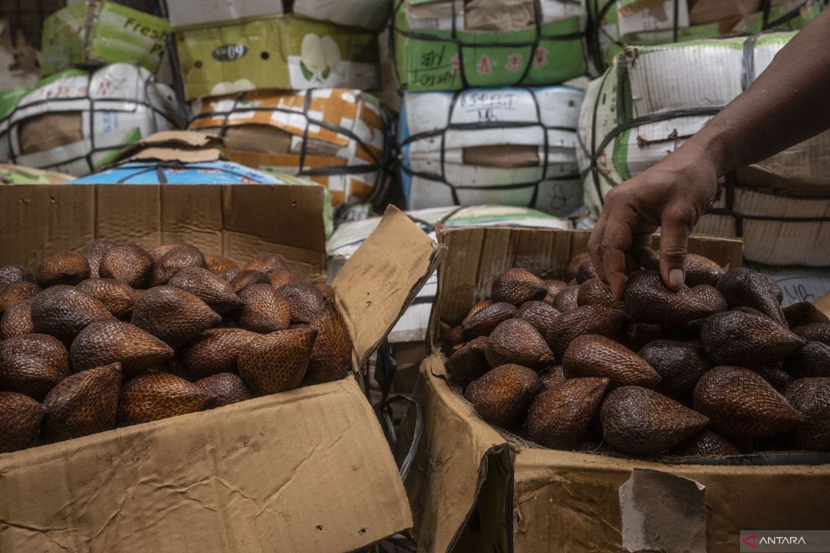 Hoaks! Salak berisi sabu dari China beredar di Indonesia