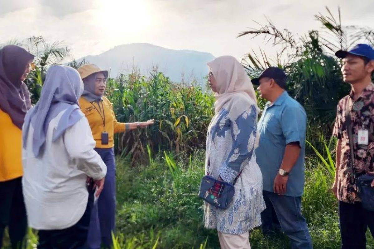 South Kalimantan, directorate general monev Kesatria program