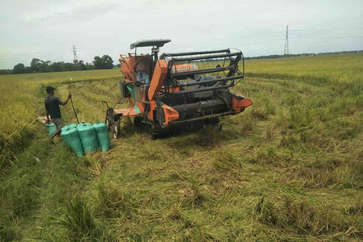 Mentan dorong penggunaan alsintan efektifkan hasil panen padi