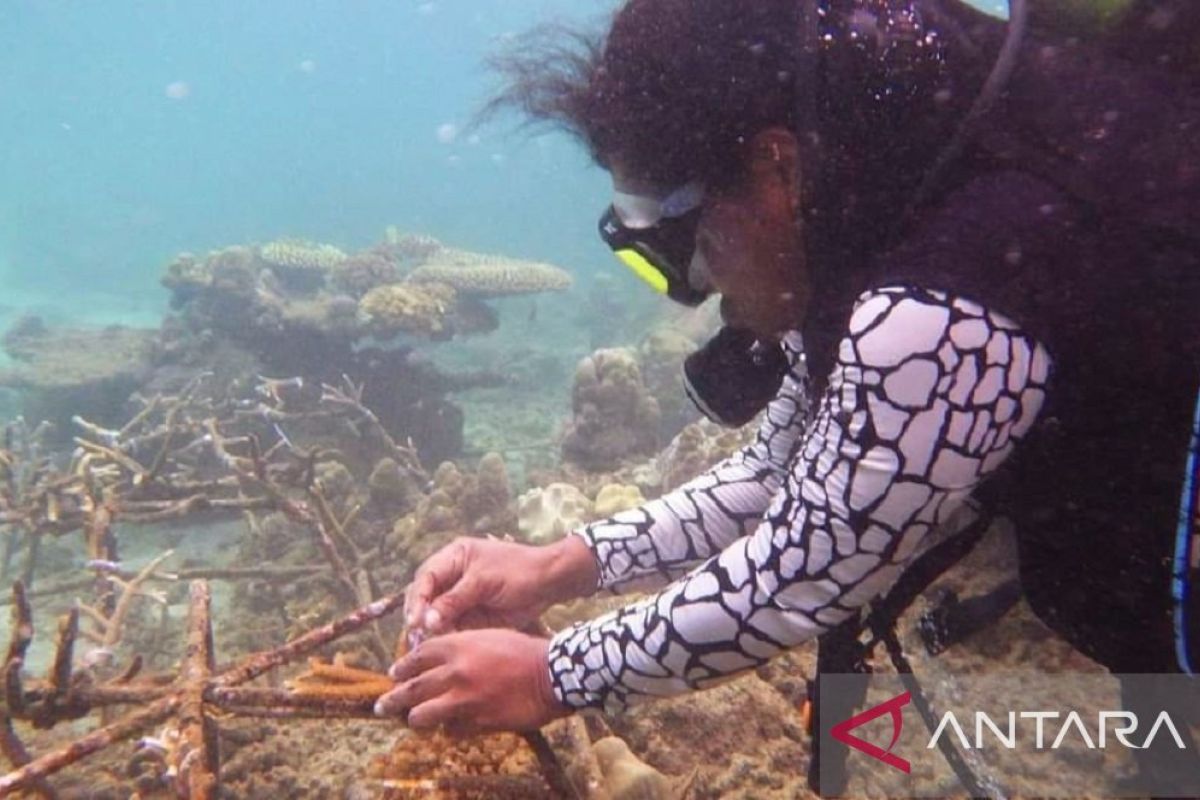 Sopia Serontou, pejuang bahari di Teluk Tanah Merah Papua