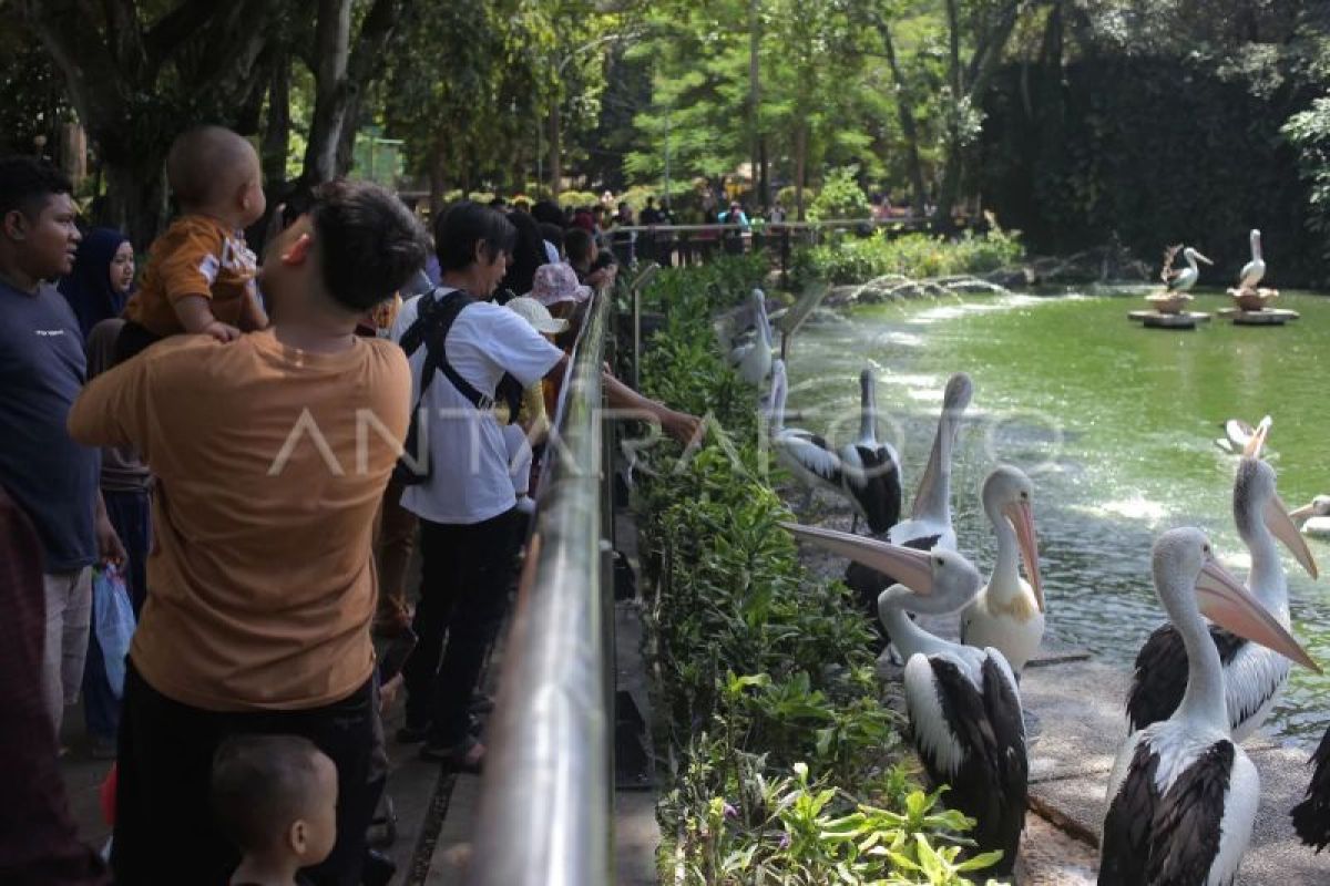 Ragunan Zoo adjusts opening hours during Ramadan