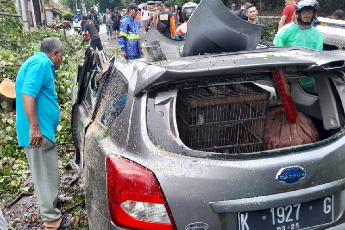 Sebuah mobil tertimpa pohon tumbang di tanjakan Tanah Putih Semarang