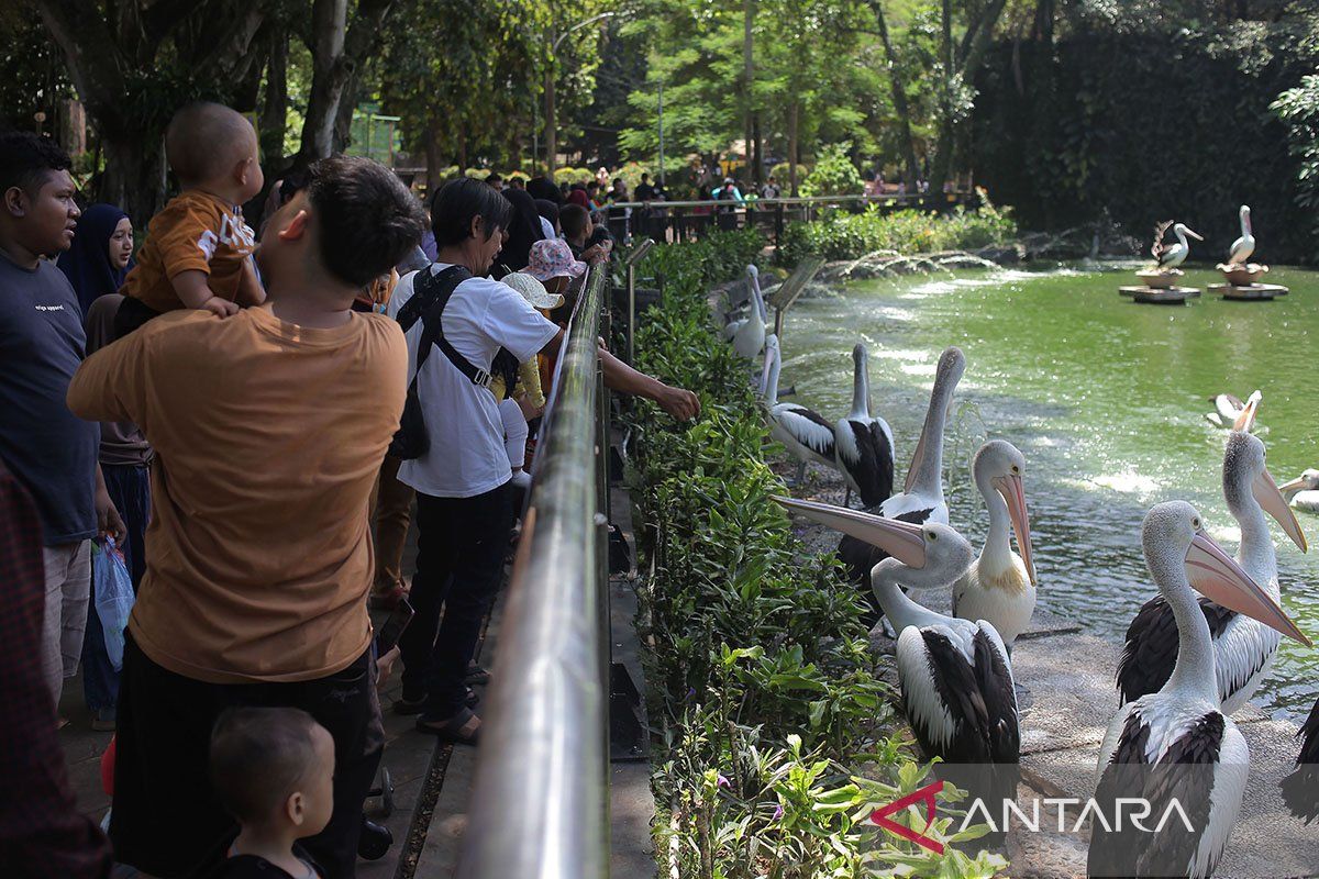 Taman Margasatwa Ragunan sesuaikan jam operasional selama Ramadhan