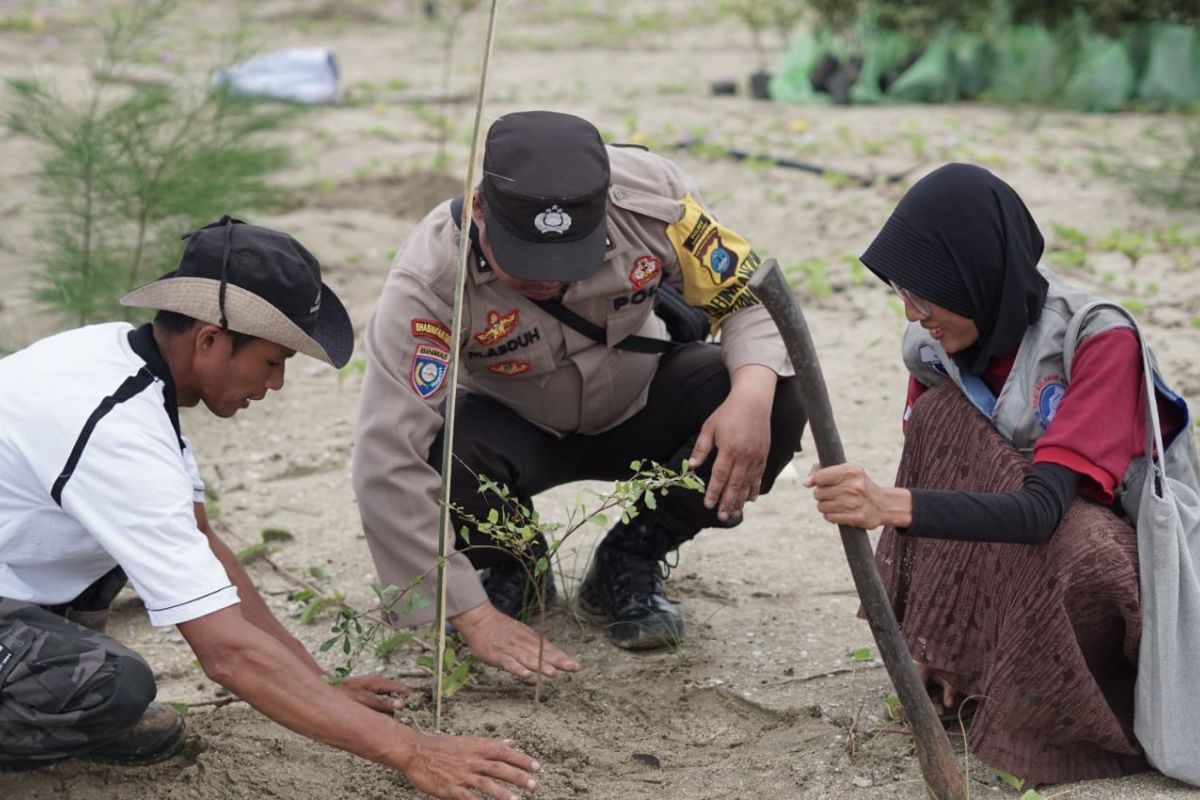 Dishut Kalsel bersama Alumni IPB tanam 1.200 bibit pohon di Tanah Bumbu