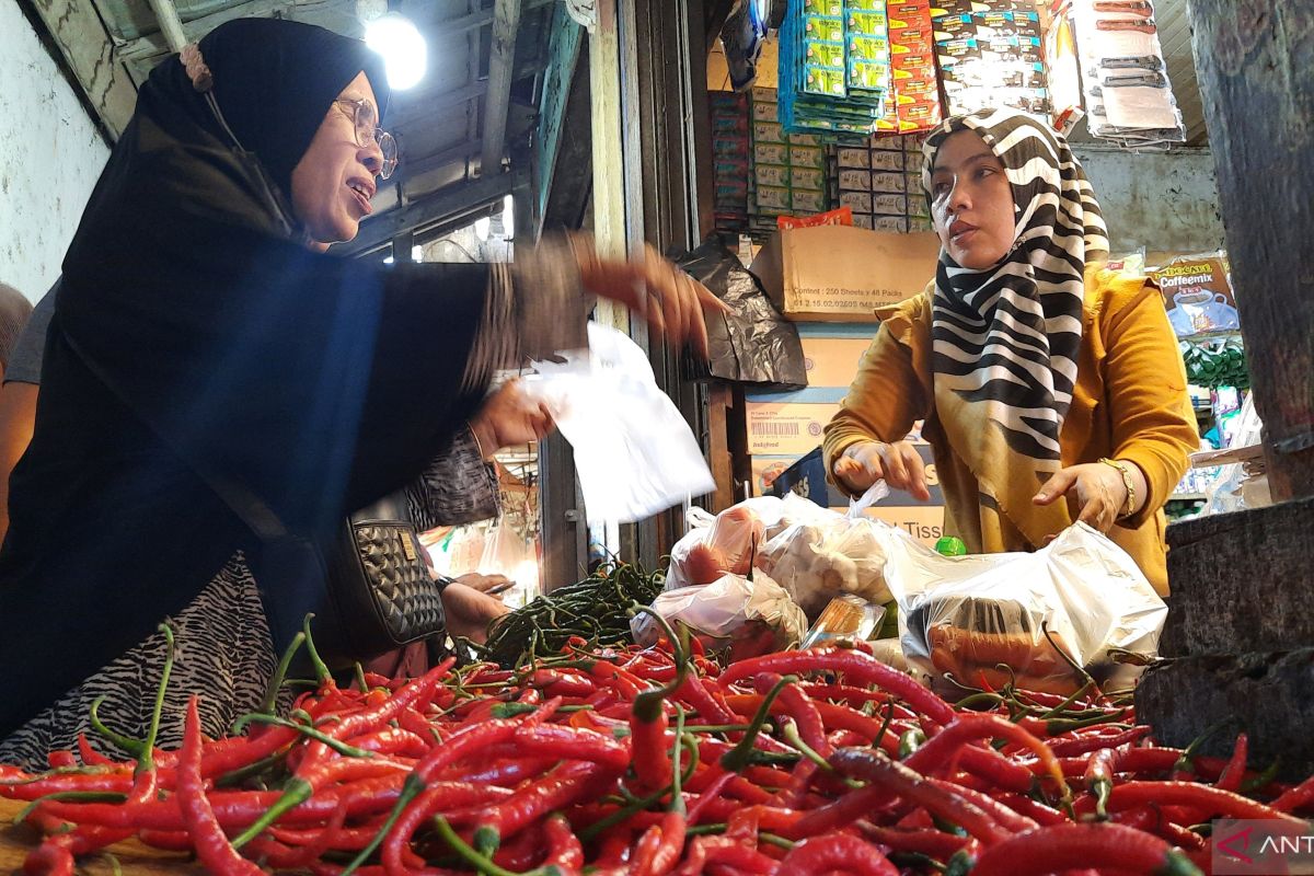 Harga cabai di Pariaman capai Rp95 ribu perkilogram awal ramadhan