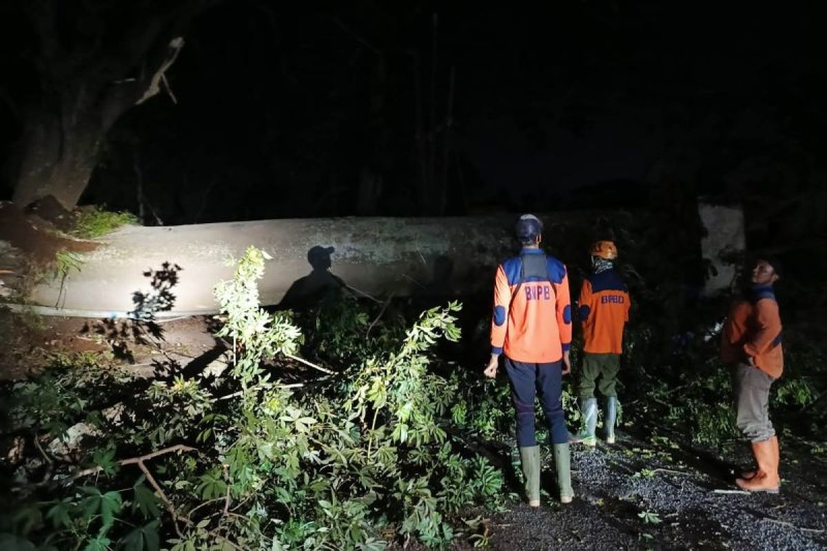 Cuaca ekstrem Kota Batu picu belasan bencana, sejumlah orang terluka