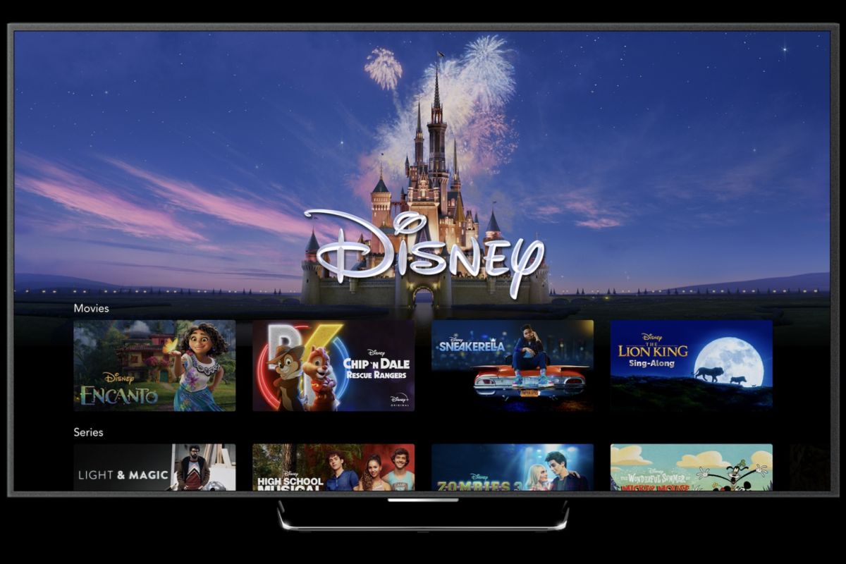 Disney Plus mulai tindak pengguna yang berbagi "password" di Juni 2024
