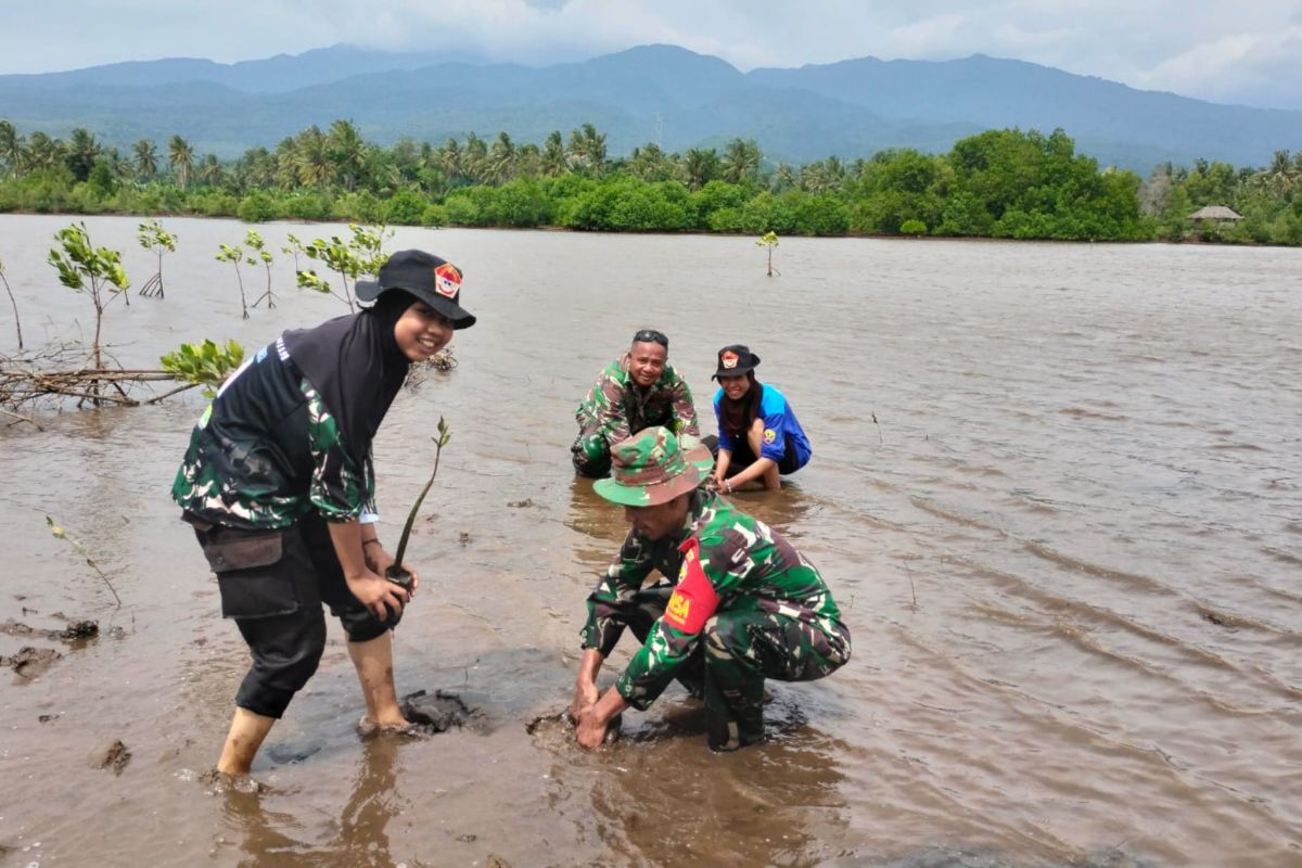 TNI menanam pohon mangrove di pesisir pantai Lombok Timur