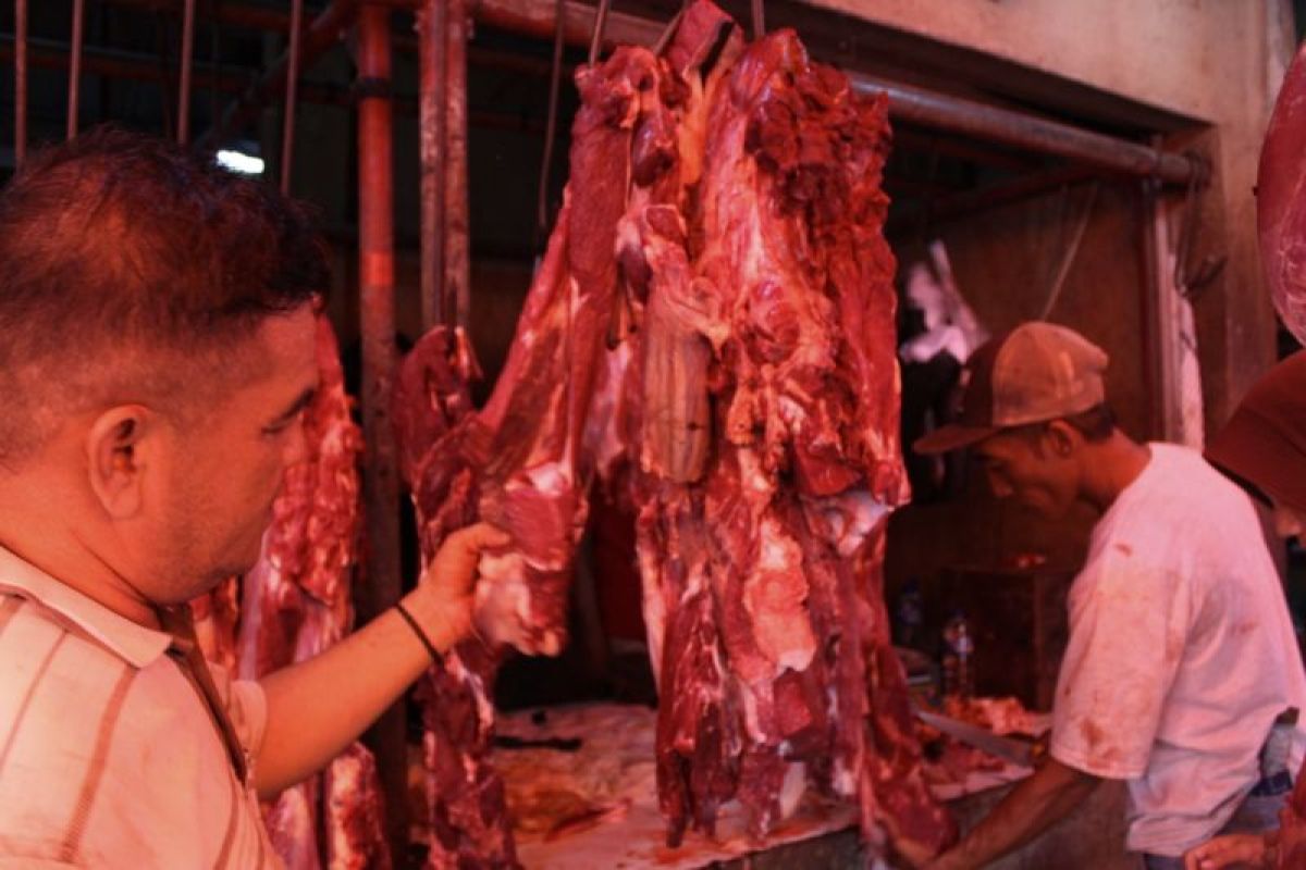 Disnakeswan Lampung sebut ketersediaan sapi potong 29.334 ekor