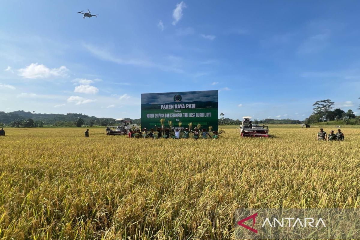 Bulog Kaltim-Kaltara prioritaskan penyerapan hasil panen lokal