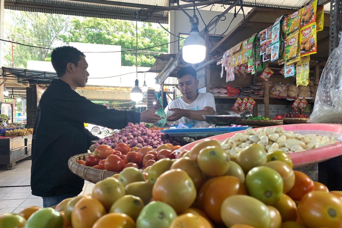 Harga tomat di Gorontalo turun pada awal Ramadhan