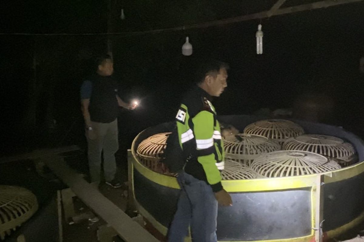 Polisi gerebek arena sabung ayam kosong di Pekanbaru