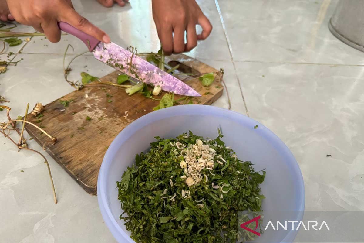 Oen peugaga, daun langka incaran masyarakat Aceh Timur