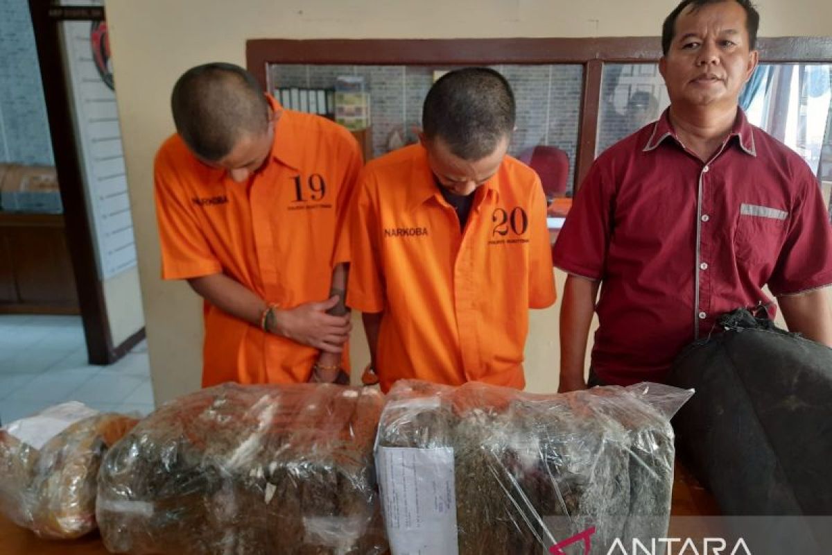 Polresta Bukittinggi ungkap peredaran 25 kilogram Ganja asal Panyabungan Sumut