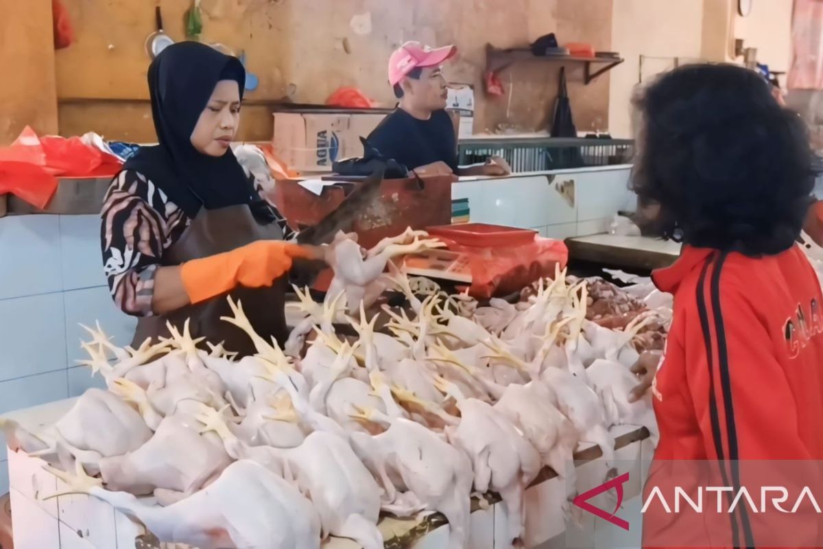 Harga ayam potong di Pasar Ciracas naik pada hari ketiga Ramadhan