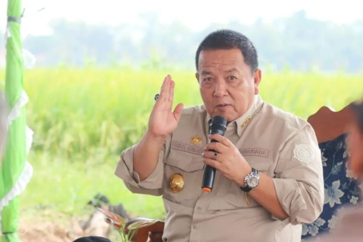 Gubernur Lampung minta kelompok tani bentuk koperasi tampung hasil panen