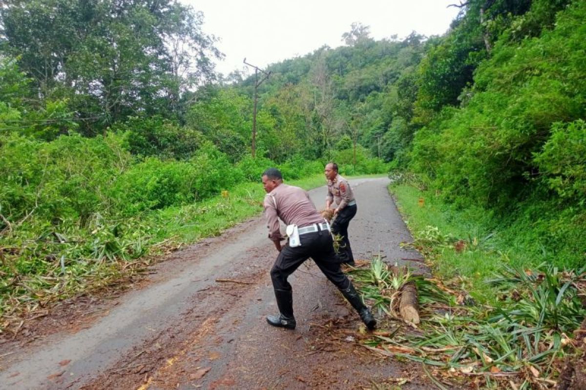 Satlantas Polres Matim bersihkan pohon tumbang tutup jalan