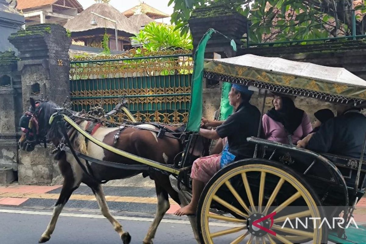 Layanan dokar gratis di Denpasar dinikmati lebih 1.000 wisatawan