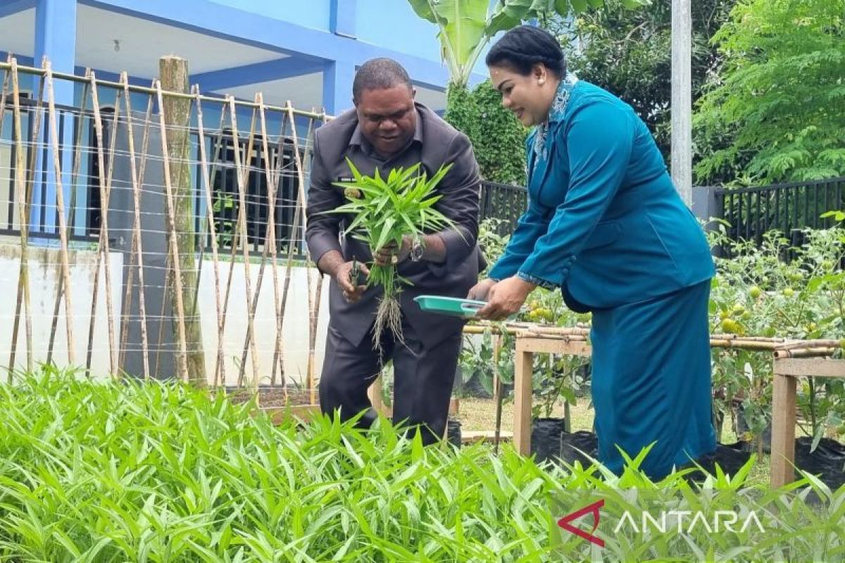 Kebun 'Aku Hatinya' PKK Manokwari jadi andalan berdayakan warga