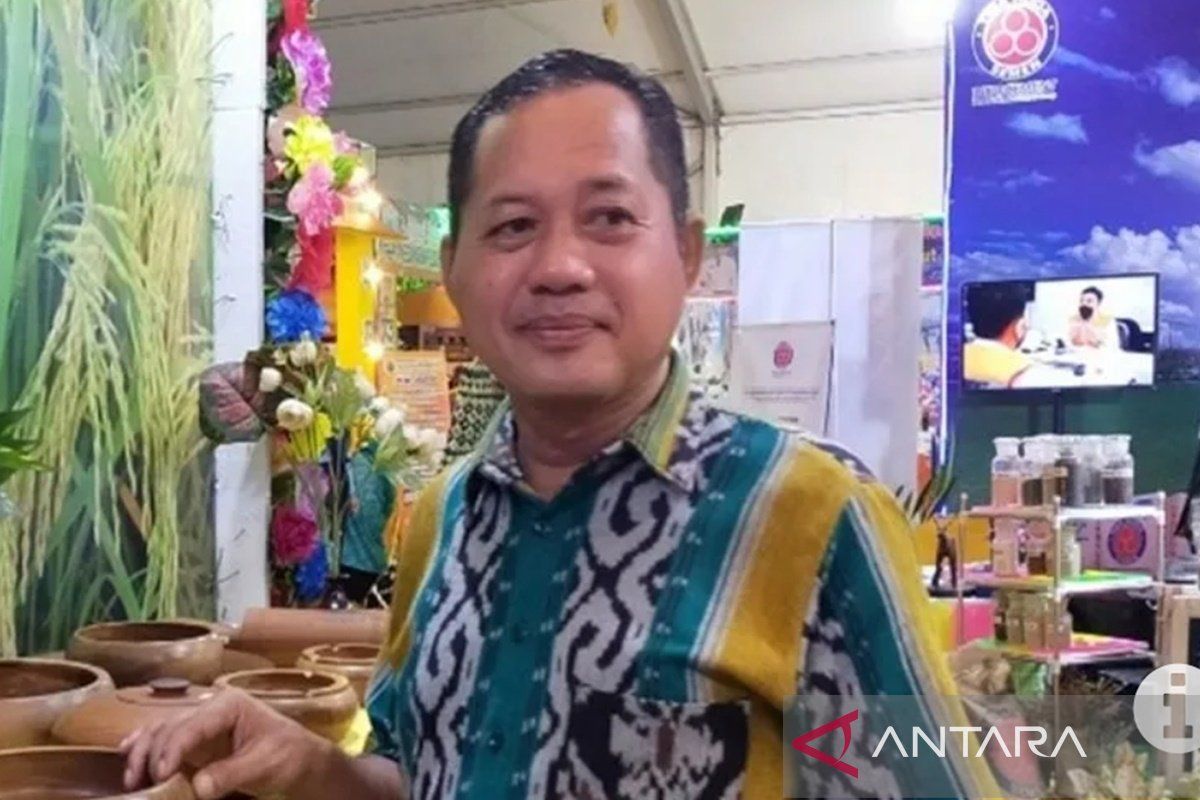 Waket DPRD Kotabaru: Aren genjah tanaman prospek bagi petani muda