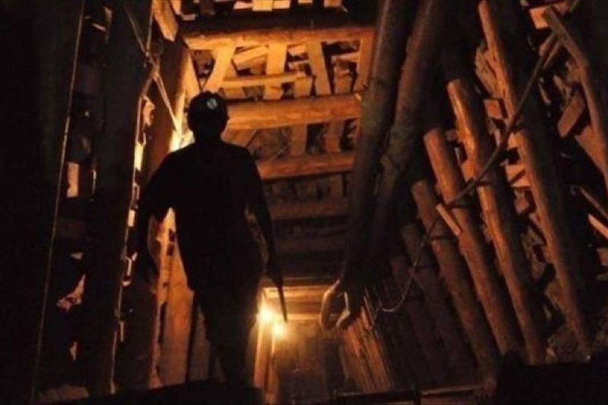 Puluhan pekerja diselamatkan dari tambang emas ambruk