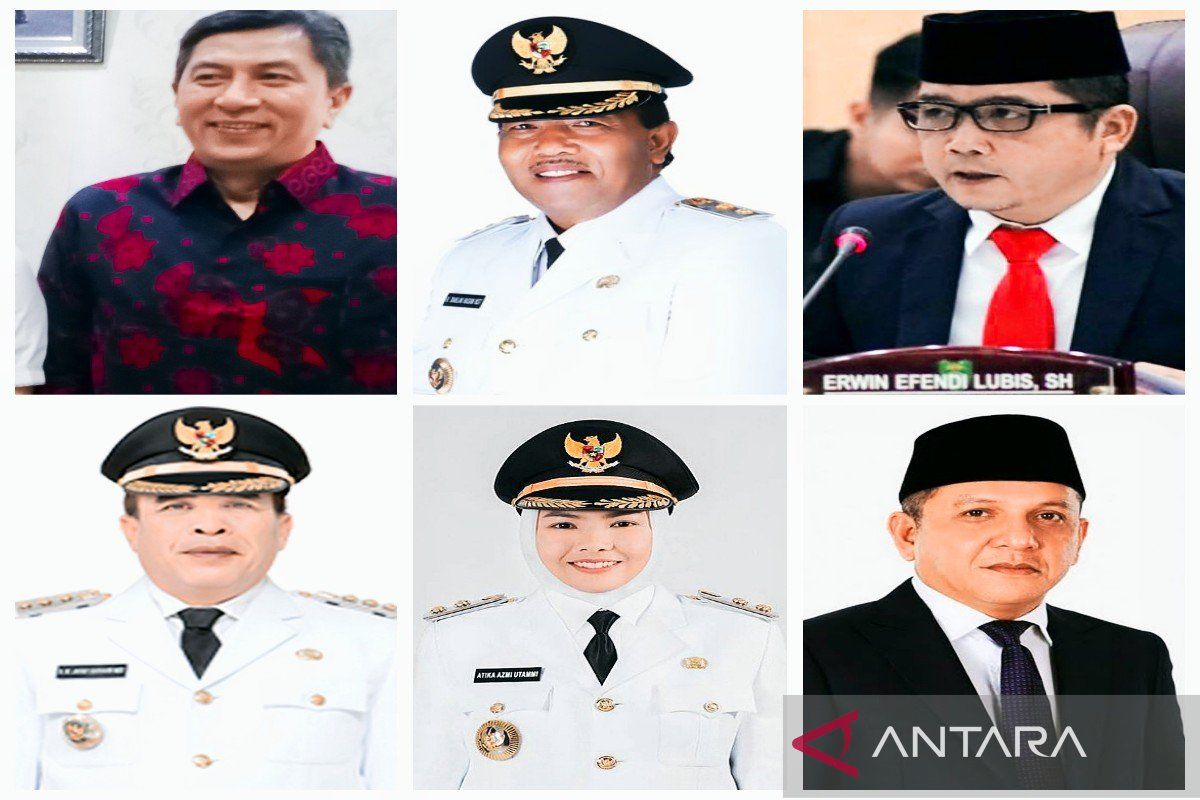 Calon Bupati Madina di Pilkada 2024 mulai mencuat